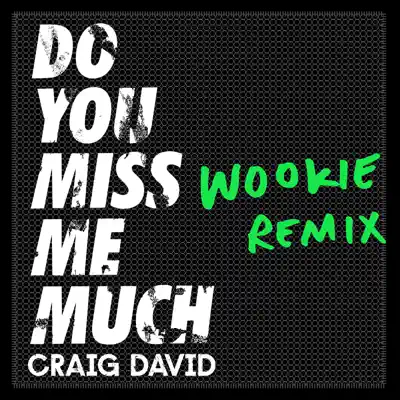 Do You Miss Me Much (Wookie Remix) - Single - Craig David