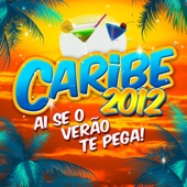 Caribe 2012: Ai Se o Verão Te Pega! artwork