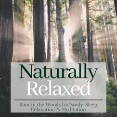 Naturally Relaxed - Rain in the Woods for Study, Sleep, Relaxation & Meditation by Rabeh Al Shami album reviews, ratings, credits