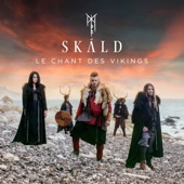 Le chant des Vikings (Alfar Fagrahvél Edition) artwork