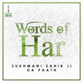 Sukhmani Sahib Ji Words of Har artwork