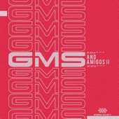 Gms and Amigos II artwork