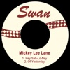 Hey Sah-Lo-Ney - Single