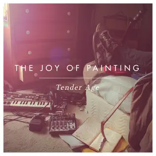 Album herunterladen The Joy Of Painting - Tender Age