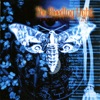 Bleeding Light