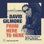 David Gilmore - The Long Game