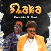 Shaka (feat. Teni) artwork