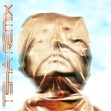 The Key To Life On Earth artwork