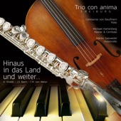Cello Sonata Vivaldi No. 6 in B Flat Major: IV. Allegro artwork