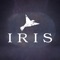 Iris - Flight Paths lyrics