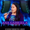 Concierto 2019 (En Vivo)