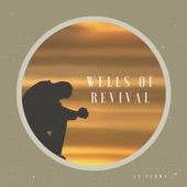St Flows - Wells of Revival