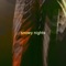 Bad Habits (feat. Oldfriend) - Goldenninjah lyrics