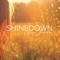 Shinedown - Sam James lyrics