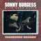 Tennessee Border (feat. Dave Alvin) - Sonny Burgess lyrics