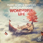 Wonderful Life (Steve Modana Extended Mix) artwork