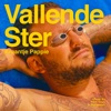 Vallende Ster by Kraantje Pappie iTunes Track 1