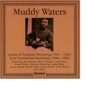 Muddy Waters - I Be's Troubled