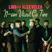 N-Am Vazut Ca Tine (feat. Alex Velea) artwork