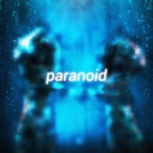 Paranoid artwork