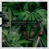 Fumando María - Single album lyrics, reviews, download