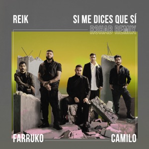 Si Me Dices Que Sí (R3HAB Remix) - Single