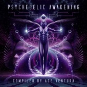 Psychedelic Awakening artwork