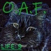 Life 9