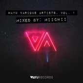 Mixed - WAYU Various Artists, Vol. 1 (DJ Mix) artwork