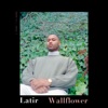 Wallflower - Single