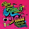 Amor A Primera Vista by Los Ángeles Azules iTunes Track 1