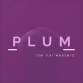 The Nor'easters - Plum