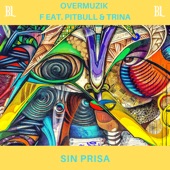 Sin Prisa (feat. Pitbull & Trina) artwork