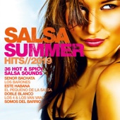Salsa Summer Hits 2019 artwork