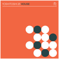 Various Artists - Yoshitoshi 25: House artwork