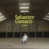 Horse by Salvatore Ganacci iTunes Track 1