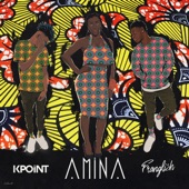 Amina (feat. Franglish) artwork