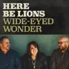 Wide Eyed Wonder (feat. Michael Farren, Dustin Smith & Jennie Lee Riddle) - Single album lyrics, reviews, download