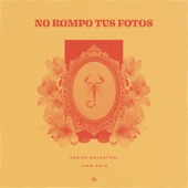 No Rompo Tus Fotos artwork