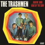 The Trashmen - King of the Surf