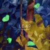 The Leap - The Clean Up
