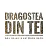 Dragostea Din Tei - Single album lyrics, reviews, download