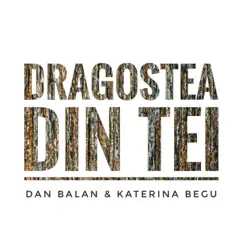 Dragostea Din Tei - Single by Dan Balan & Katerina Begu album reviews, ratings, credits