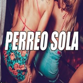 Perreo Sola (Remix) artwork