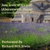 Jesu, Lover of My Soul (Aberystwyth, Organ) - Single