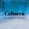 Relaxing by the Sea - Single