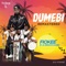 Dumebi (feat. Alternate Sound) - Fiokee lyrics
