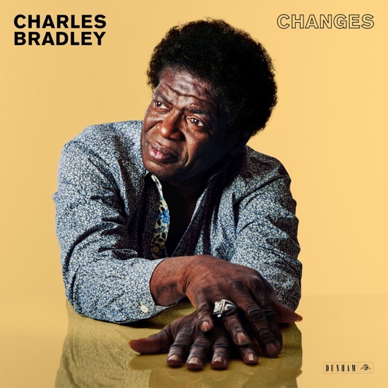 Cover artwork for Changes (feat. The Budos Band)