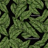Tropical House Enthusiasts - Back to Basic