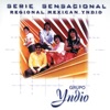 Serie Sensacional Regional Mexican Yndio, 2000